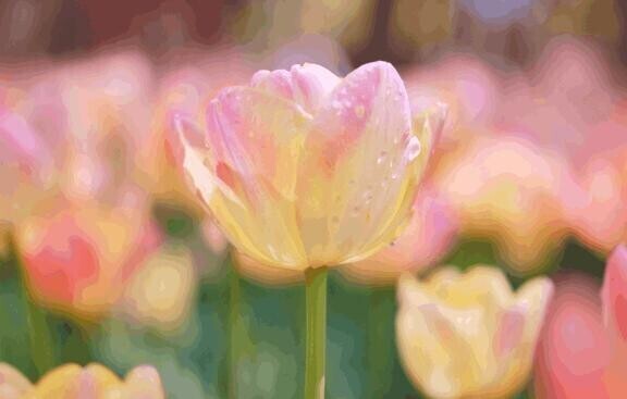 本指様♡01月04日、80分のH様♡