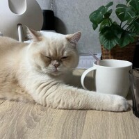 🩷完売ありがとう🩷