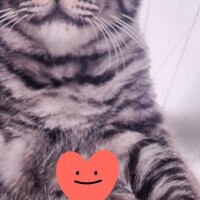 ありがとう(ФωФ)