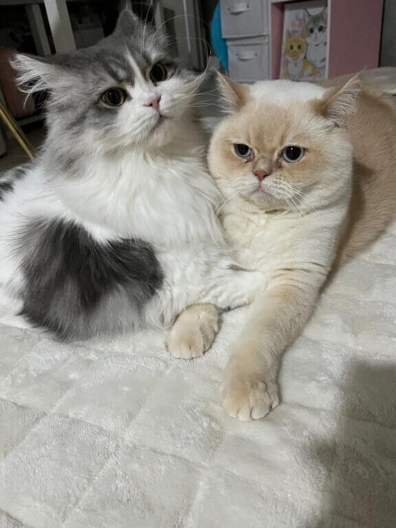 本指名T様ありがとう