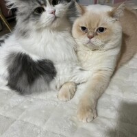 本指名T様ありがとう