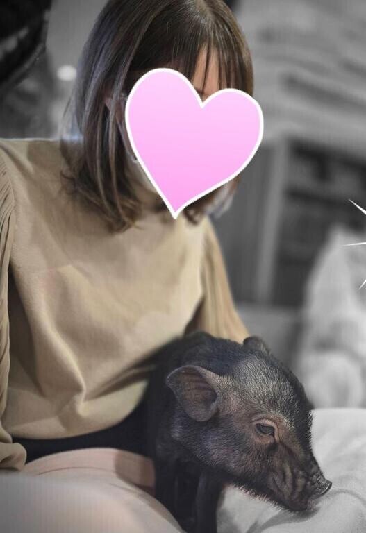 マイクロブタカフェ