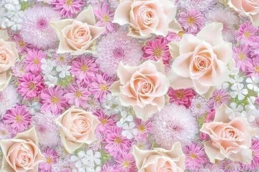 申し訳ございません