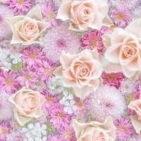 申し訳ございません