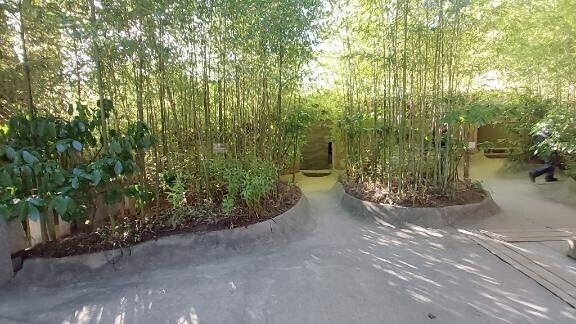 写真がいっぱい