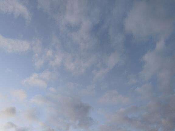 今日の予約状況