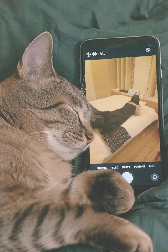 眠い🫩一緒に。