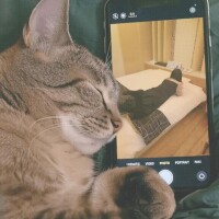 眠い🫩一緒に。