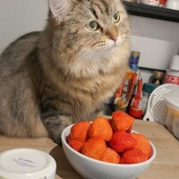 出勤時間変更のお知らせ