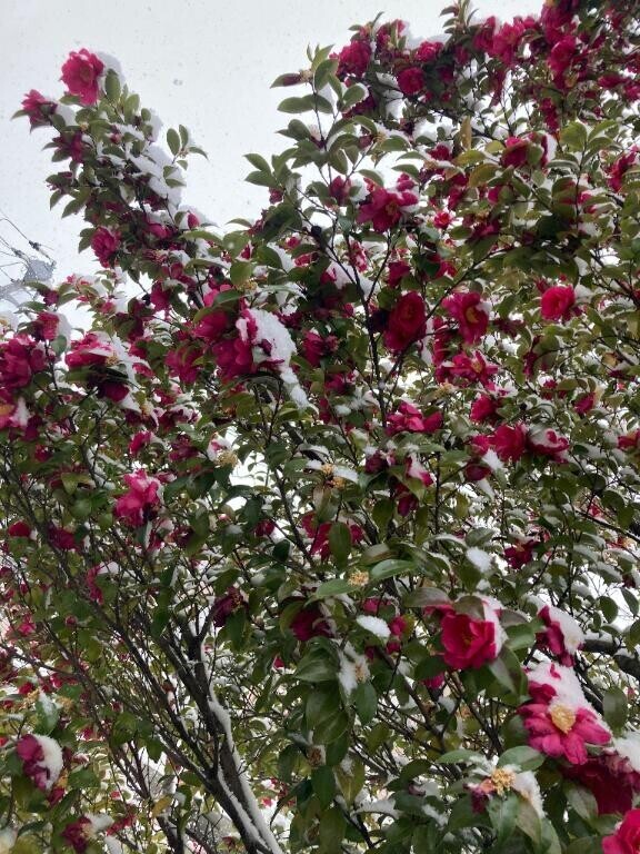 遂にね、、、ww