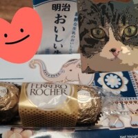 ありがとう(ФωФ)