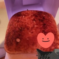 ありがとう(ФωФ)