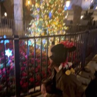 2月25日出勤します