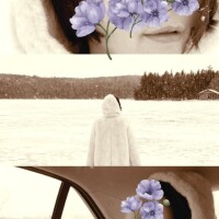 本日の今のところ