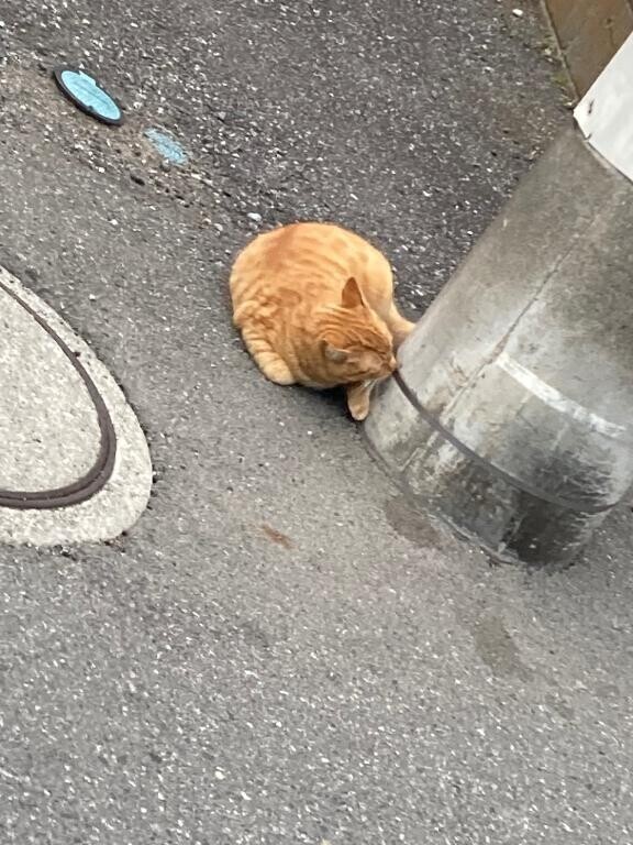 胸は…重力逆らえません