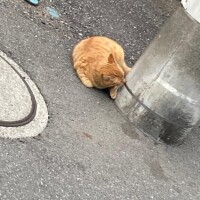 胸は…重力逆らえません