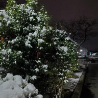 本日お休みです