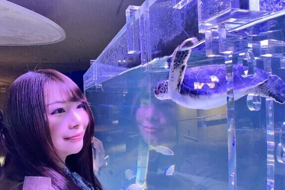 夢の話〜☆*:.｡. o(≧▽≦)o .｡.:*☆