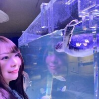 夢の話〜☆*:.｡. o(≧▽≦)o .｡.:*☆