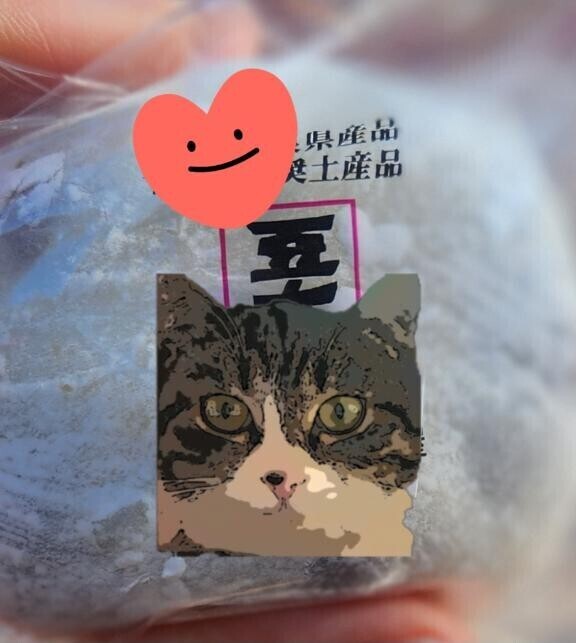 ありがとう(ФωФ)