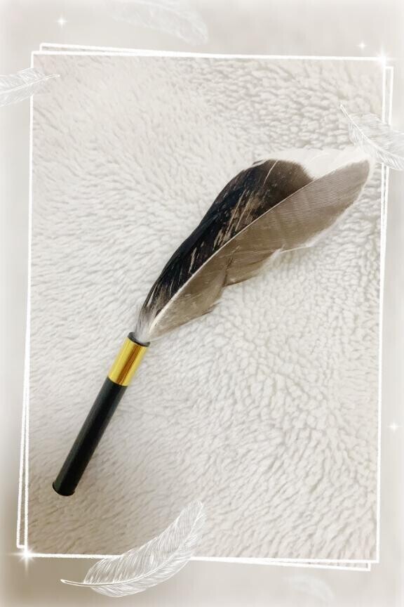 寝る時の、お気に入り