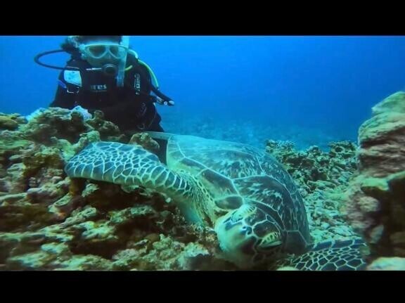 しばらく休憩しますʕ•ᴥ•ʔ