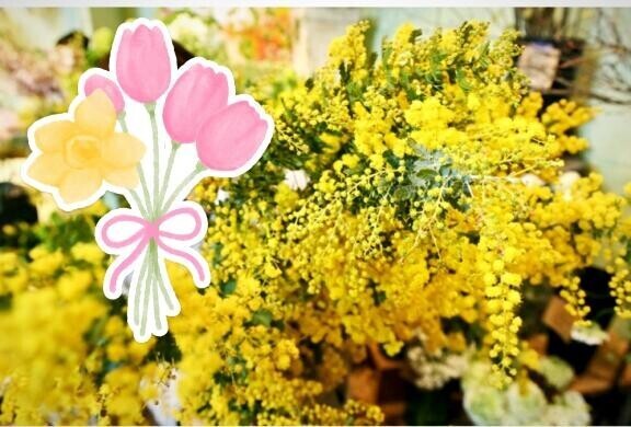 日々の感謝と愛を込めて(*´ー｀*)