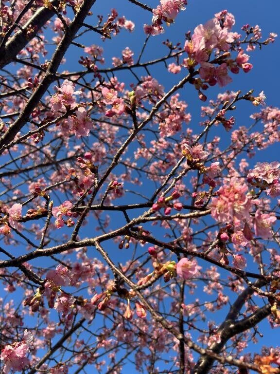 本日は終了です