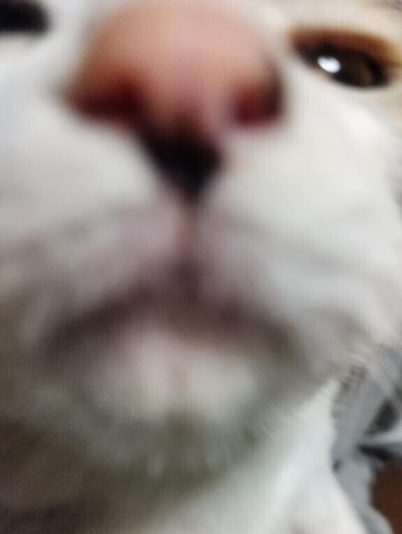 ごめんなさい！