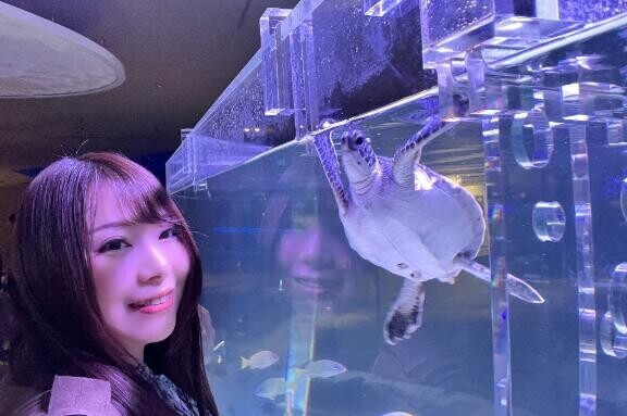 尊み秀吉天下統一♫