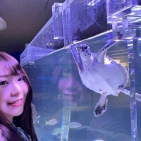 尊み秀吉天下統一♫