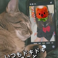 性病検査の結果