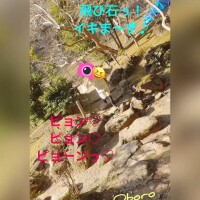 ピョン♡ピョン♡全力橋！？