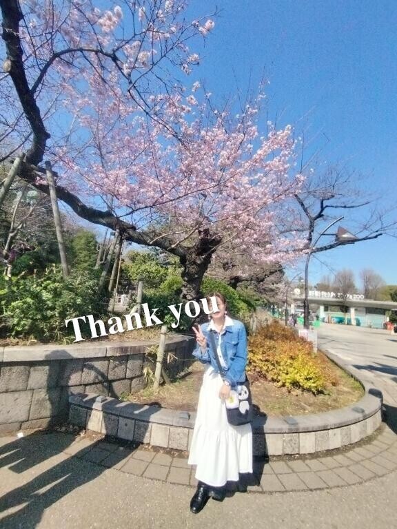 『上野桜まつりデート』