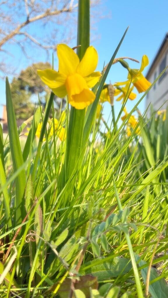 おはようございます