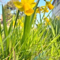 おはようございます