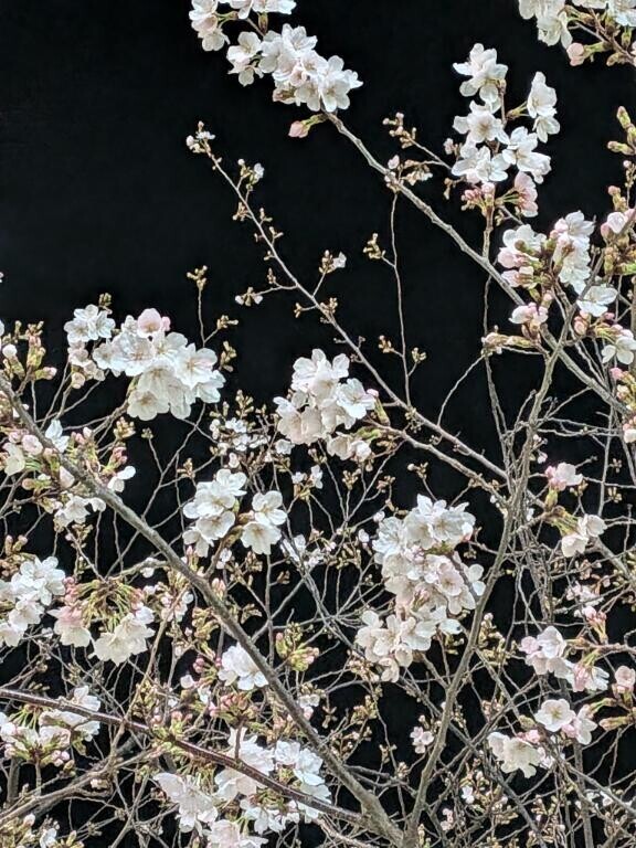 おはよーーーん