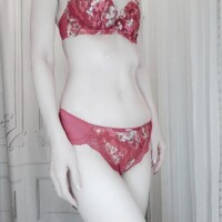 今日のランジェリー