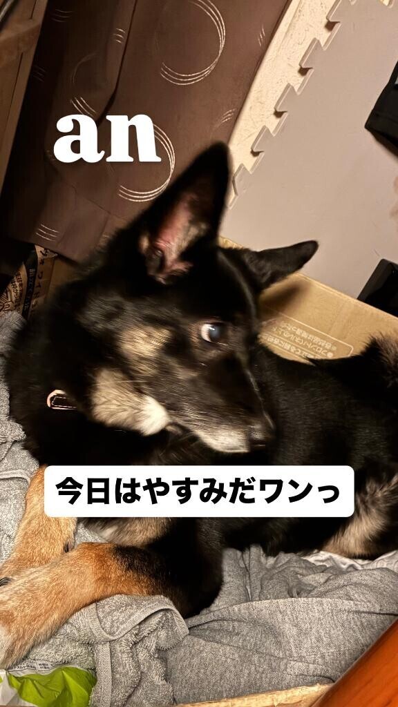 おはよっ