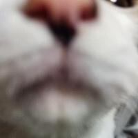 ごめんなさい！！！
