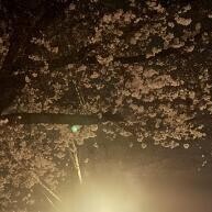 わいわい金曜日