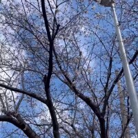 皆にお届け