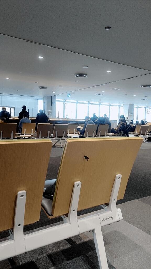 帰省してました