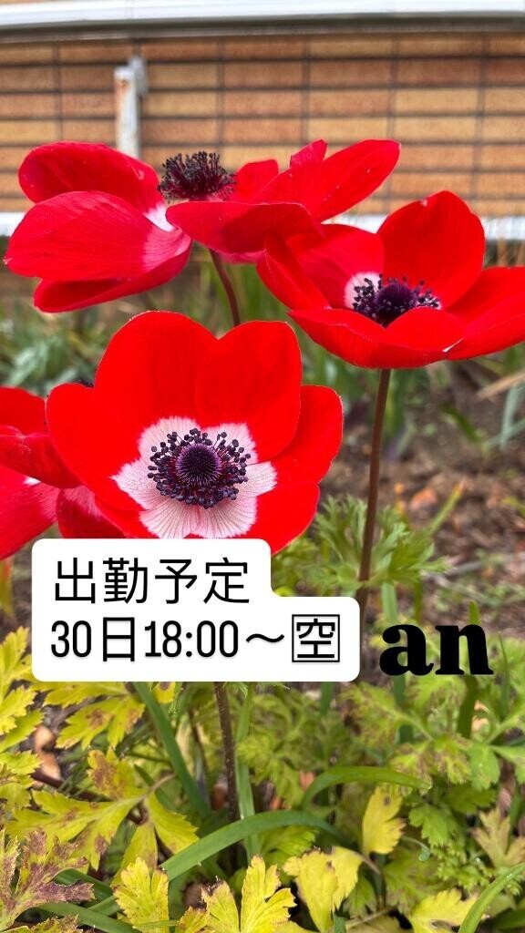 出勤予定U・x・U