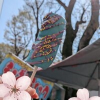 お出かけ