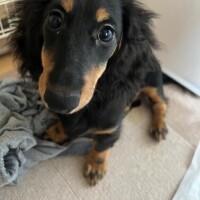 Yさん100分コースありがとうございます！