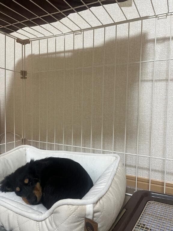 何回目かのおはよう