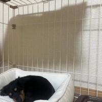 何回目かのおはよう