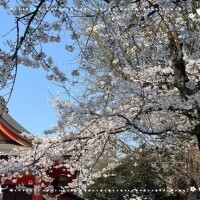 リフレッシュ休暇中♪♪