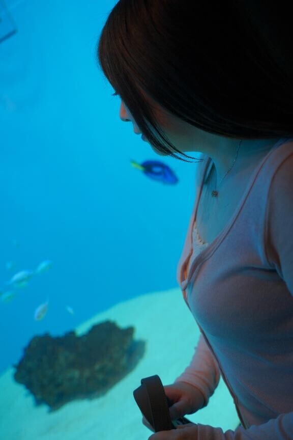 綺麗だね